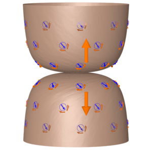 [A KK-monopole together with its 'dyonic' degree of freedom
		as a field.]