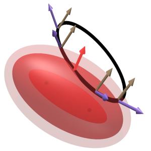 A set of ellipsoids around the same foci, one of    which is just tangent to the intersection of the constraints.